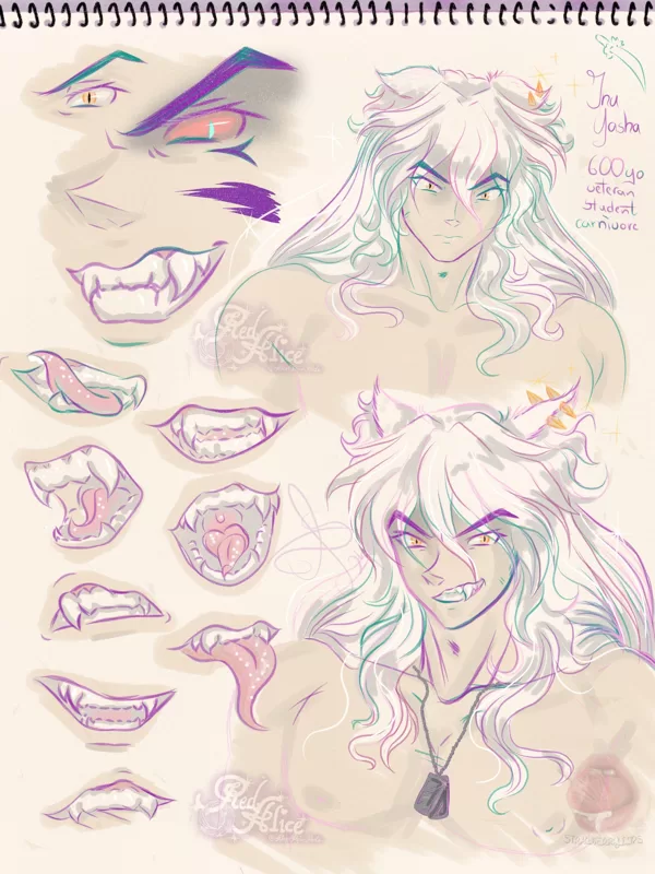 Inuyasha face